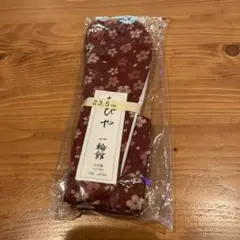 Item thumbnail for item 70a48d00-1cad-4c67-a521-a9fa50c4ea20