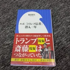 Item thumbnail for item 859c1e2b-5306-4150-81ac-724e84b87db6