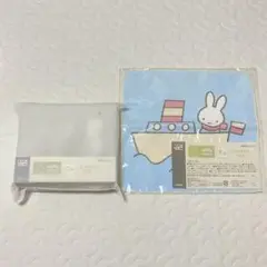 Item thumbnail for item 8d993b45-d5f1-4896-9048-f63cc4a607d2