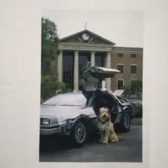 BACK TO THE FUTURE　バック トゥ ザ フューチャー
