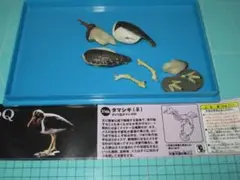 海洋堂　チョコQ日本の動物第９弾　216ｂタマシギ♀　未組み立て
