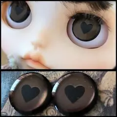 No.660ブライスアイチップ