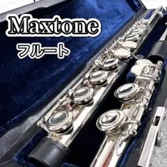 2025年最新】Maxtone フルートの人気アイテム - メルカリ