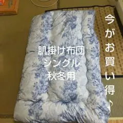 【9日〜発送可能】自宅で洗える　肌掛け布団　シングル　中綿1.8kg　春秋冬