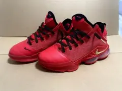 Nike, Le Bron 19 Low 26cm