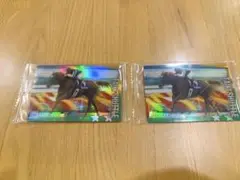 サラブレッドホースコレクション タイキシャトル
