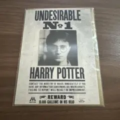 【新品未開封】UNDESIRABLE No.1 HARRY POTTER