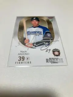 Item thumbnail for item a5a1c695-41fb-4416-b755-857b8a6b95ba