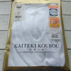 Item thumbnail for item 74d06643-e672-4082-8188-b00b9d53b4e7