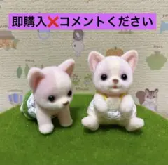 Item thumbnail for item 15fff1e0-8d97-4378-8cd9-7f4f77974b57