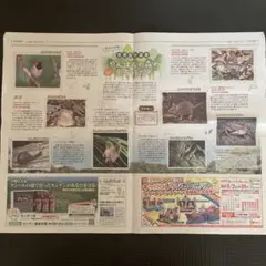 固有種の生き物(沖縄県)新聞