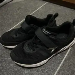 シュンソク24.5