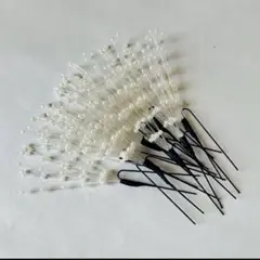 Item thumbnail for item 03b40163-7552-4102-96aa-662bfd9aac00