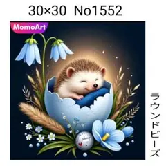 ダイヤモンドアートキット　No1552