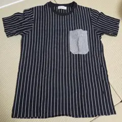 Calvin Klein Platinum ストライプ Tシャツ Lサイズ
