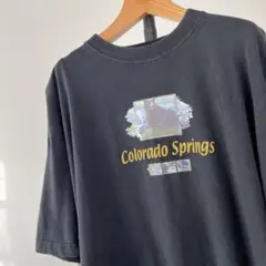 USA古着　コロラド・スプリングス　Tシャツ　アニマル　動物　クマ　ブラック