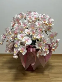 Item thumbnail for item c7c34869-9ec2-4270-92a3-7f6bddabe163