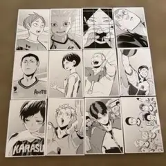 ハイキュー!! モノクロカードセット 12枚