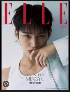 ELLE SEVENTEEN MINGYU 特集号　ミンギュ