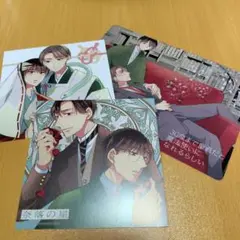 30歳まで童貞だと魔法使いになれるらしい