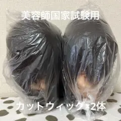 Item thumbnail for item e711d8c0-8983-4b7a-bad9-ea02dcc547ac
