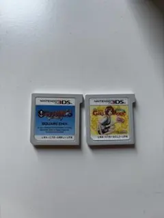 3DSソフト２本セット