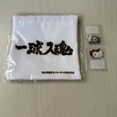 ハイキュー 巾着 andST 木兎 赤葦 梟谷 ワッペン