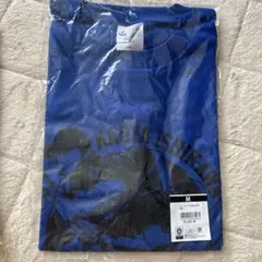 日本ハムファイターズ #51 石川直也選手ダイジェストTシャツ Mサイズ