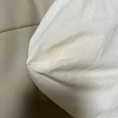確認用