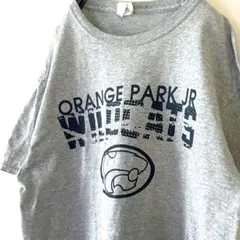 ポート&カンパニー ワイルドキャッツ オレンジパーク Tシャツ グレー 古着