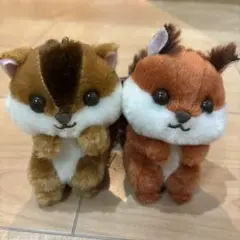 希少　ふっくらほっぺのちょこりすマスコットボールチェーン