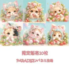 PARADISEパネル生地　 限定販売10枚　猫柄 P94