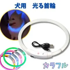 Item thumbnail for item 98020a79-1ead-466a-9072-6dfe8d76fb57