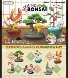ぽけっとBONSAI　ホウオウ 株式会社リーメント公式 on X: 