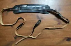 Item thumbnail for item b117c56c-a994-46be-a214-87843e62d041