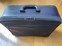 希少JAL CAオーバーナイト・ステイバッグ
