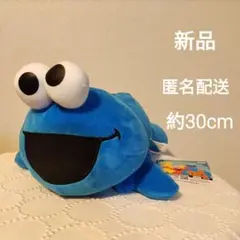 新品 未使用