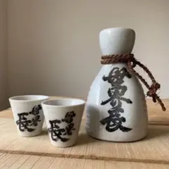 九谷焼 世界長 徳利 お猪口 セット 日本酒 美術品