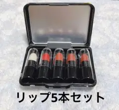ミニリップ 5本セット 新品未使用 レッド 赤 口紅