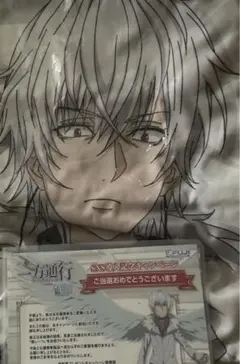 アクセラレータ いっしょ寝シーツ 推しーつ セット