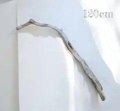 Item thumbnail for item db62679f-0de3-4ff8-b3af-b0c069ae48b5