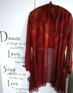 【美品】ロングブラウス ブラウンシアーシャツ