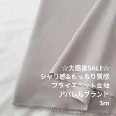 B7X/6985◆3m 感謝祭/ポリレーヨン混フライスニット生地/アパレル