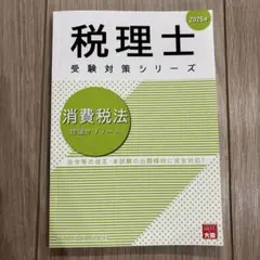 消費税法理論サブノート 2025年