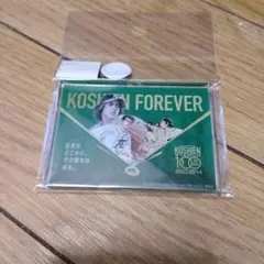 KOSHIEN FOREVER 100周年コラボ マグネットルーキ- ズ