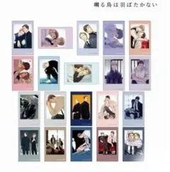 囀る鳥は羽ばたかない 全20種　インスタントカメラ風イラストカード　ヨネダコウ