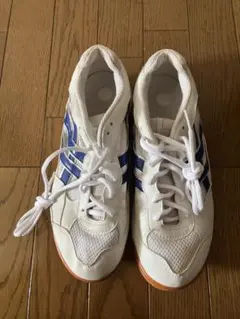 体育館ジュース/室内ばき　25センチ