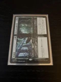 収納室 忘れられた地下室