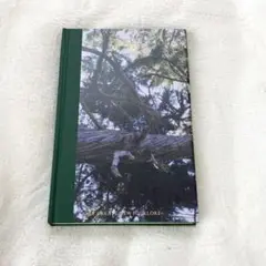 【希少本】疾駆 CHIC vol.4 第4号 熊野