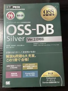 Item thumbnail for item 841ccb88-9180-4057-8b54-5ad3ed8e4d0d